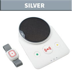 A picture of Lifeline Alarm and pendant